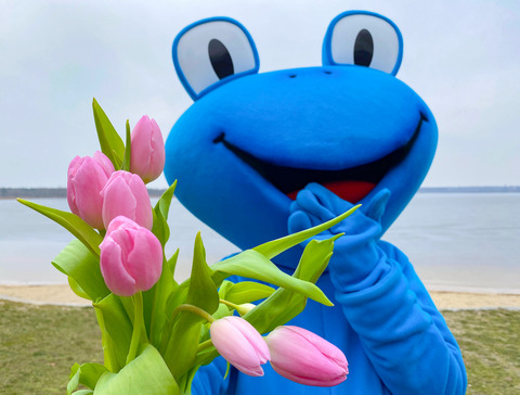 Froggi grüßt euch, Foto: Julia Kussatz