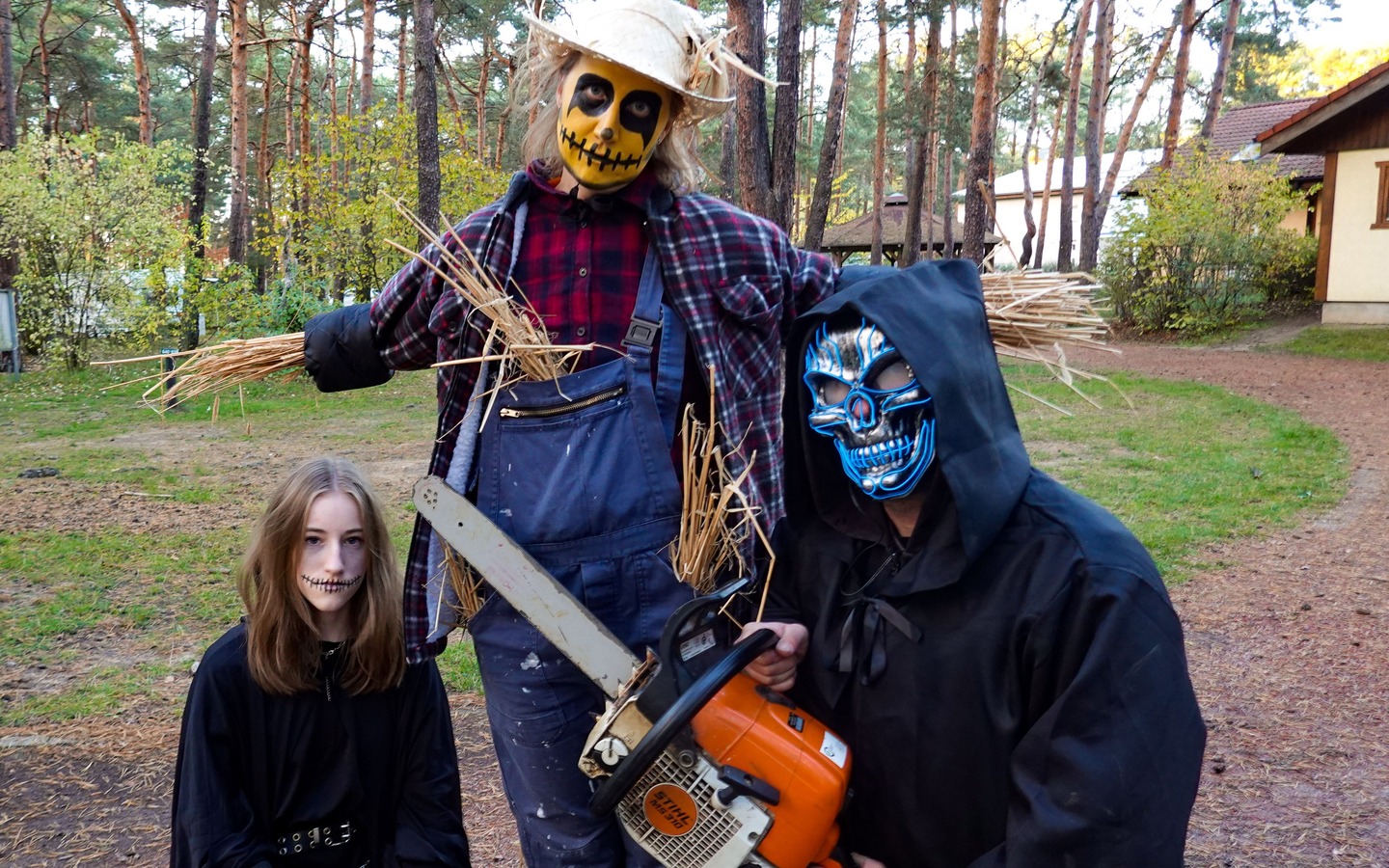 Nächtliches Parkgeflüster, Foto: Julia Kussatz