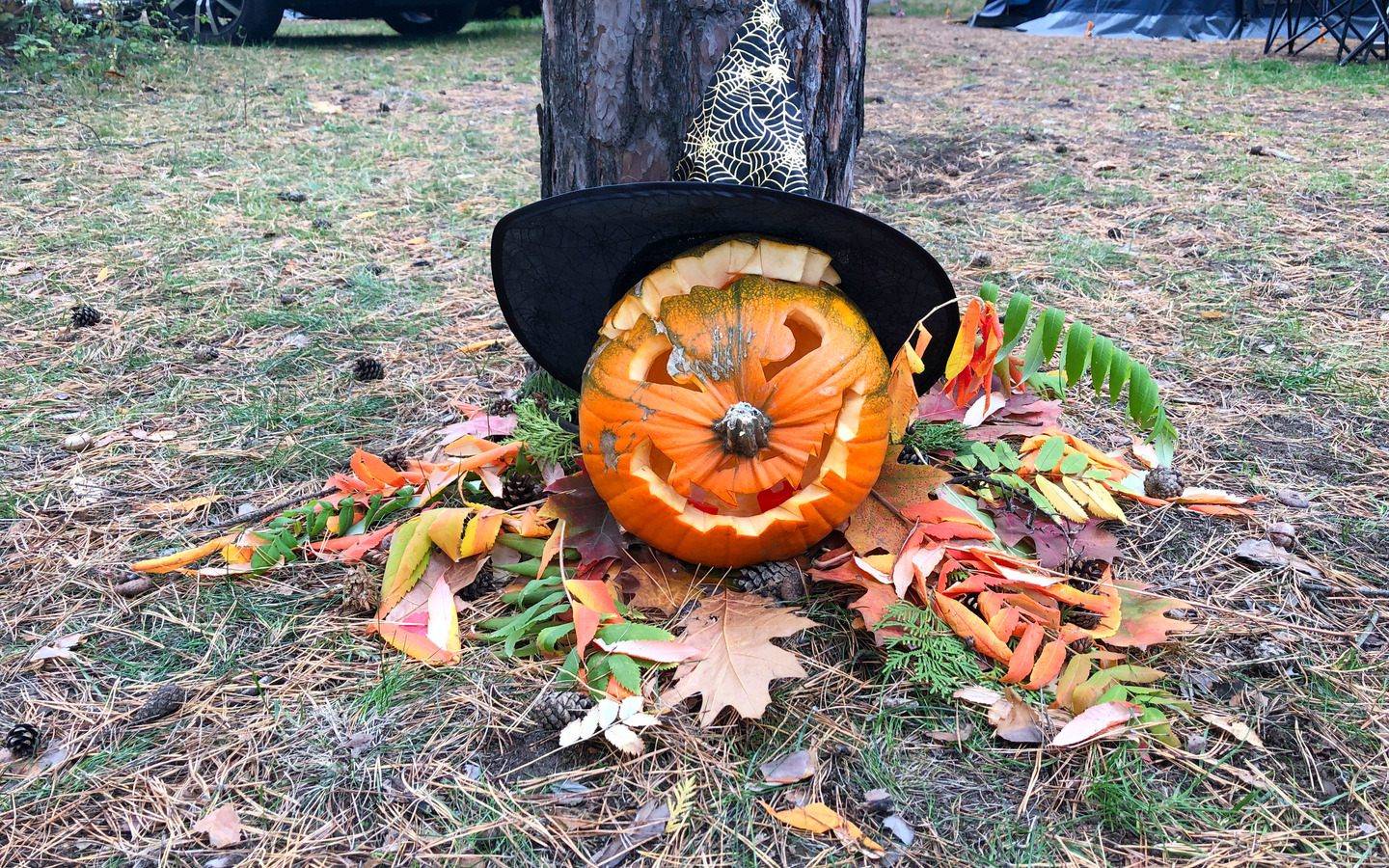 Kürbisse schnitzen, Foto: Julia Kussatz