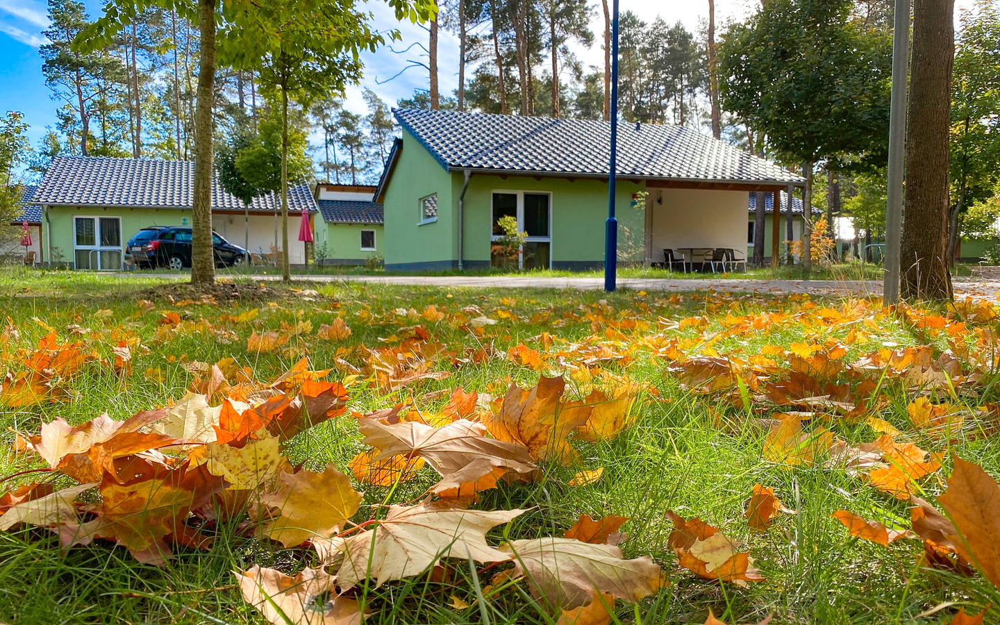 Ferienhäuser Family im Herbst, Foto: Julia Kussatz