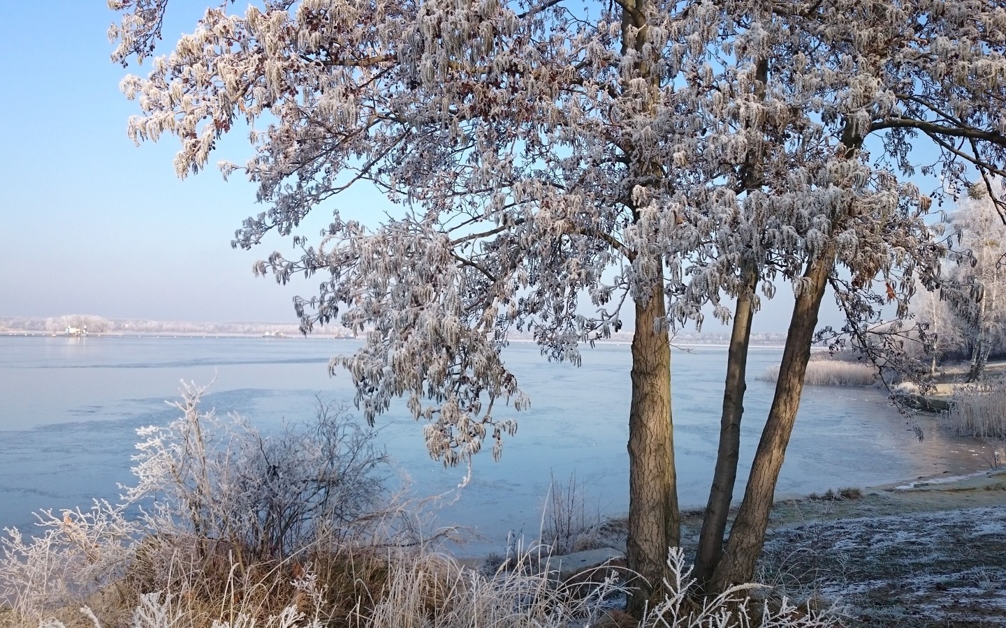 2300d586-3fcb-4df9-8d88-4fde157390d1