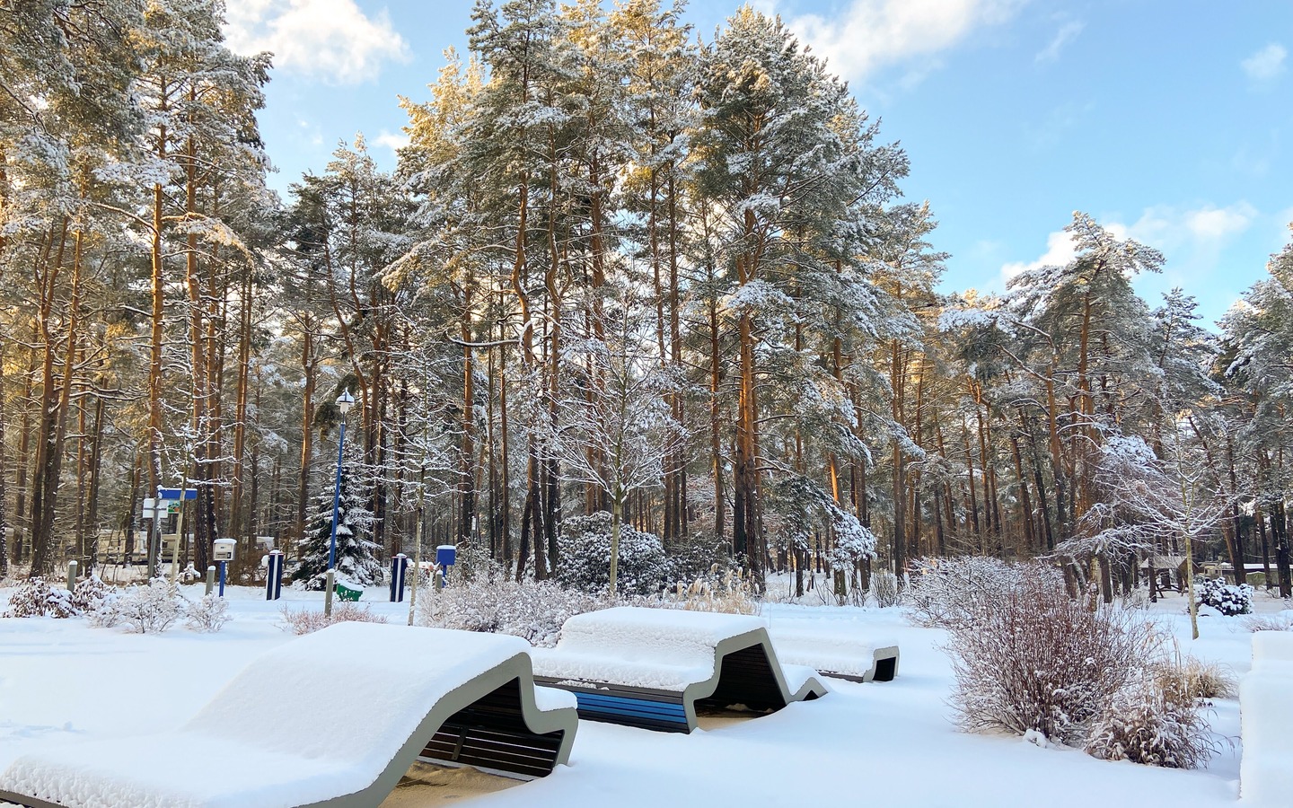 595bb638-51e7-47db-96d2-93388d111907