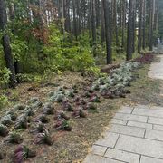 Vorbereitung der Herbstbepflanzung an der Seepromenade, Foto: Julia Kussatz