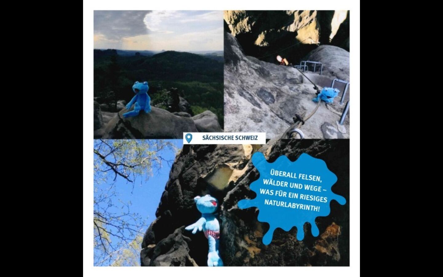 Froggis Reisetagebuch (Seite 13), Copyright: LSB