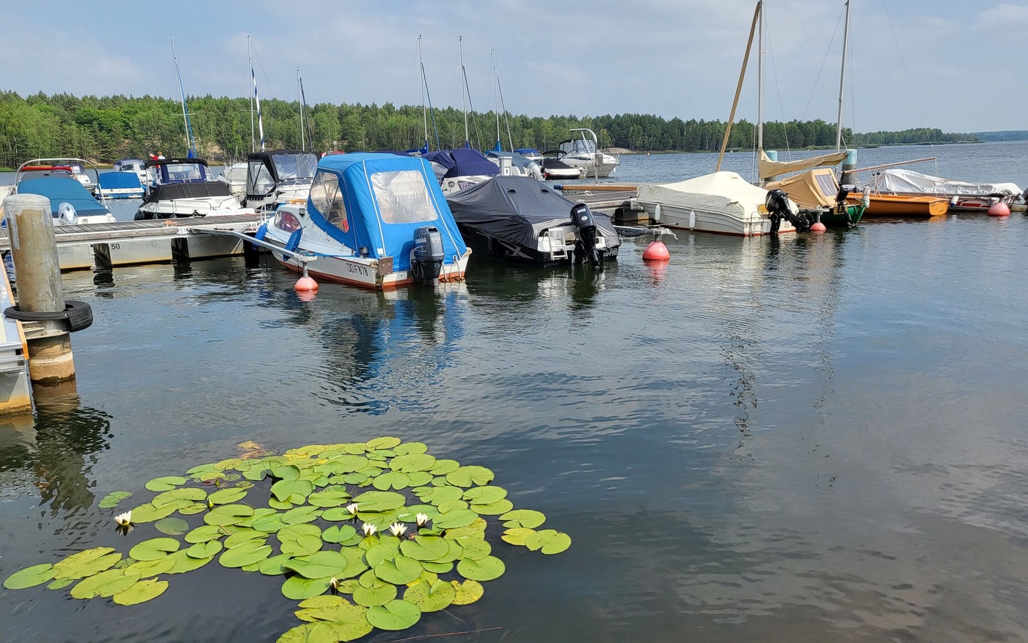 Blick auf den Steg mit Motorbooten, Foto: Denise Haynert, Lizenz: Tourismusverband Lausitzer Seenland e.V.