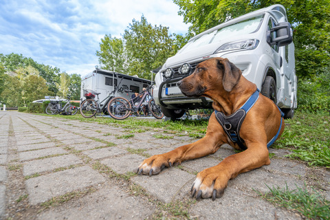 2022_camping_mit_hund_komfortcamping_foto_christian_grosse_1_.jpg